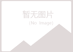 东山县白山培训有限公司